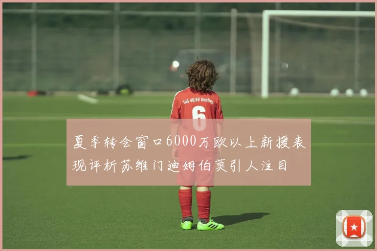 夏季转会窗口6000万欧以上新援表现评析苏维门迪姆伯莫引人注目