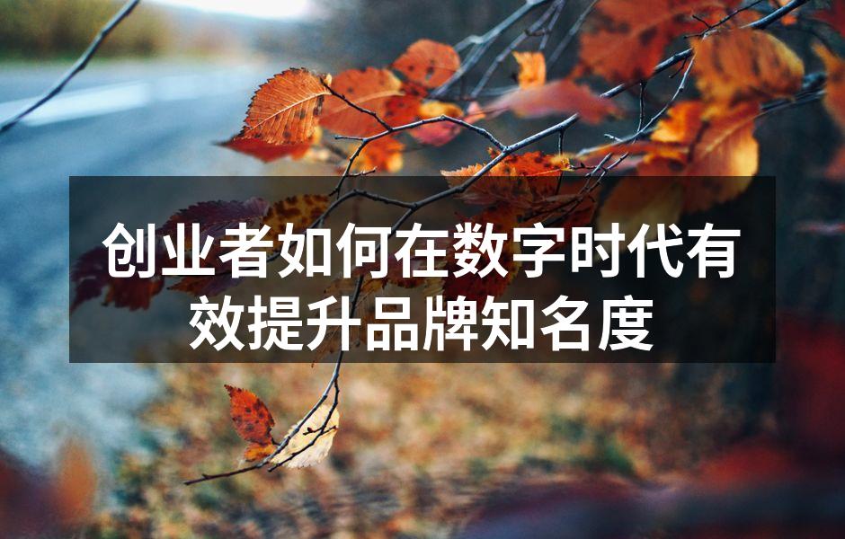 创业者如何在数字时代有效提升品牌知名度